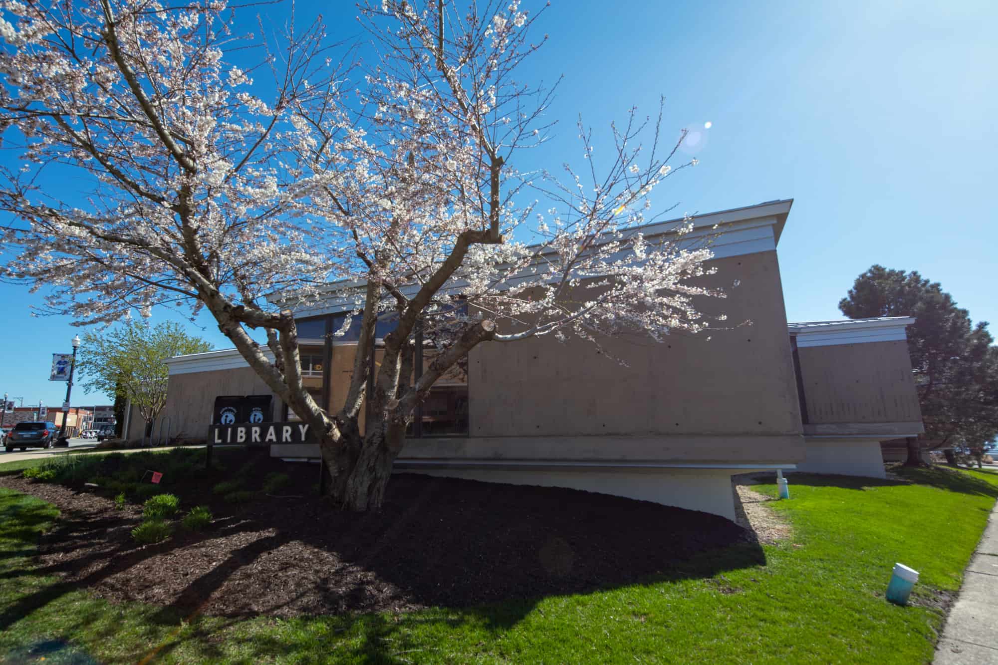 Hobart's branch of the Lake County Public Library, where spring blossoms on a tree are just beginning to appear.